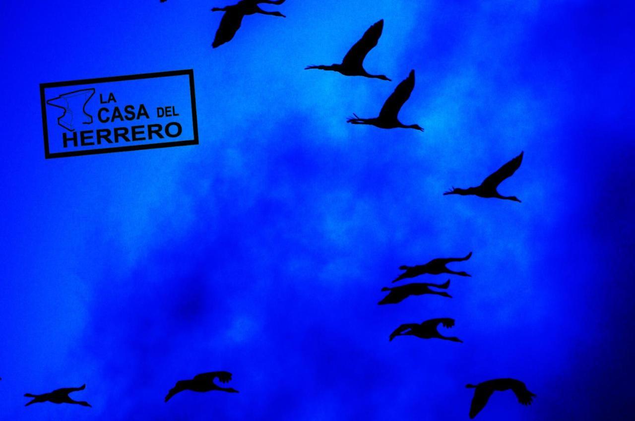 La Casa Del Herrero El Poyo Экстерьер фото